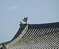 Phoenix on roof of Phoenix Hall, Byodoin