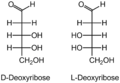 D- und L-Desoxyribose