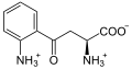 Deutsch: Struktur von L-Kynurenin English: Structure of L-kynurenine