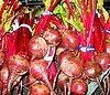 Beets