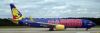 TUIfly Boeing 737-800 GoldbAIR (2009)