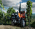 Holder F 560 (62 PS), Schmalspurtraktor im Weinberg