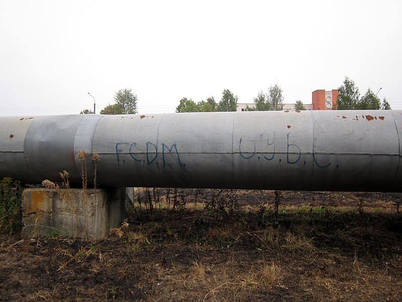 File:FCDM graffiti in Minsk.jpg