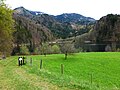 Krotensee gegen den Schafberg