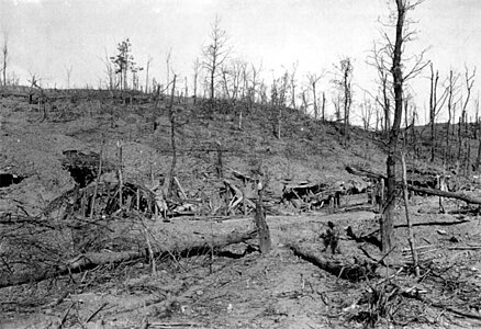 Camp de batalla devastat després de la batalla d'Asiago