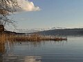 Lake Hallwil Hallwilersee