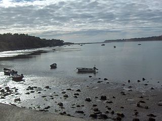 Minho river as seen from the bridge crossing in Tui (Portuguese side)