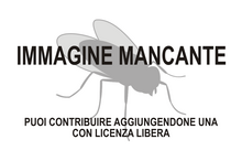 Immagine di Margo mancante