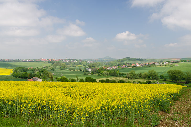 File:Blick-auf-Warburg-Landschaft.jpg