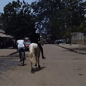 Cavalier sur un gris dans une rue, vu de dos