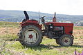 * Nomination Wladimiriec T-25 tractor and field in Kostarowce, Poland. --CLI 18:45, 9 March 2013 (UTC) * Decline Overexposed. --Mattbuck 11:24, 17 March 2013 (UTC)