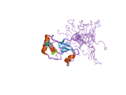 2b6f: Solution structure of human sulfiredoxin (SRX)