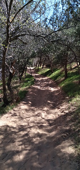 File:Sand Beach Trail Zions National Park.jpg