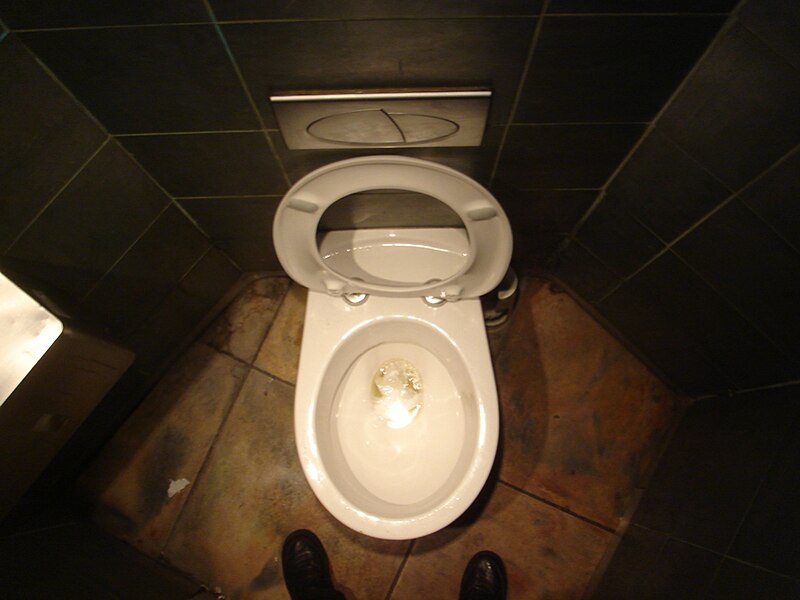 File:Toilet (157842610).jpg