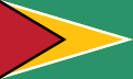 Guyana op de Olympische Zomerspelen 2004