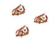 2abi: Crystal structure of the human mineralocorticoid receptor ligand-binding domain bound to deoxycorticosterone