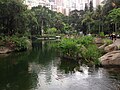 Hong Kong Park 2014