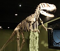 Sinraptor hepingensis.jpg