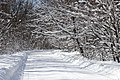 * Nomination Snowy road near Vinnitsa. March, 24 -- George Chernilevsky 18:40, 25 March 2013 (UTC) * Promotion Good quality. --Poco a poco 19:30, 25 March 2013 (UTC)