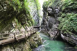 23.7.09 Vintgar-Klamm