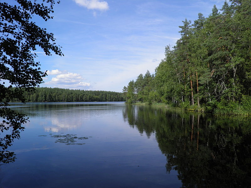 File:Ylinen Niemisjärvi.JPG