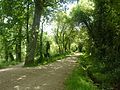 Rosporden : la voie verte n° 8 à l'entrée nord de Rosporden à proximité des étangs.