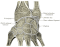 Situs ossis pisiformis iuxta alia ossa carpi