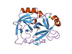 PDB 1os8 EBI.jpg