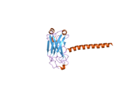 1zms: LMP1 Protein binds to TRAF3 as a structural CD40