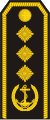 Вице Адмирал Vice admiral (שייטת הנהרות הסרבית)[51]