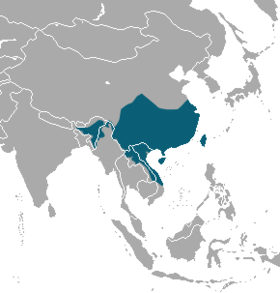 Chinese ferret-badger range