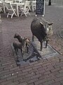 Schapen op de Markt