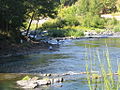 Recreational fishing on the bank of the Upper Umpqua River in Oregon