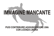 Immagine di Polyartemiella mancante