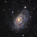 Arp 184 (NGC 1961)