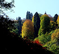 Rize, Turkey, (Autumn)