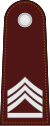 Police sergeant major