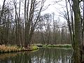 die „Groß Wasserburger Spree“ in Groß Wasserburg im Unterspreewald