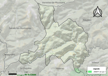 Carte de la ZNIEFF de type 1 sur la commune.