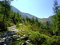 * Nomination View Col de Balme 2195 meters (border between France and Switzerland).Photo was taken on the road between Les Herbagères and Trient (Switzerland).--Famberhorst 16:53, 24 January 2013 (UTC) * Promotion Everything just feels right --Peachoftree 21:01, 24 January 2013 (UTC)