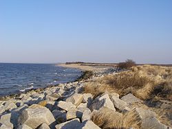 Messina Spit on Sobieszewo Island