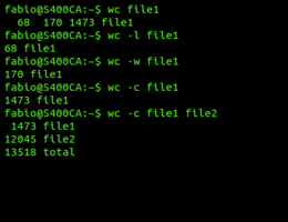 Il comando wc