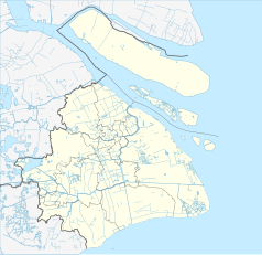 Mapa konturowa Szanghaju, w centrum znajduje się punkt z opisem „Oriental Pearl Tower”