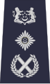 Singapore Police Force