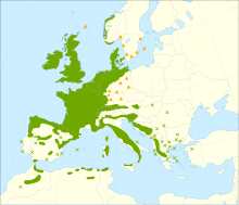 Zemljevid razširjenosti (naravna v zelenem, umetna v rumenem)