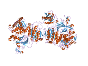 2nut: Crystal Structure of the human Sec23a/24a heterodimer, complexed with the SNARE protein Sec22b