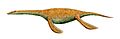 Pistosaurus longaevus