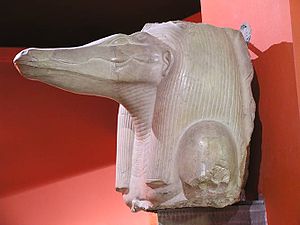 Tête de Sobek.