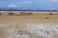 釧路湿原から遠望する阿寒富士