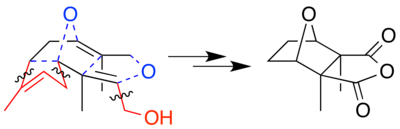 Dit is de laatste stap uit de biosynthese van cantharidine.